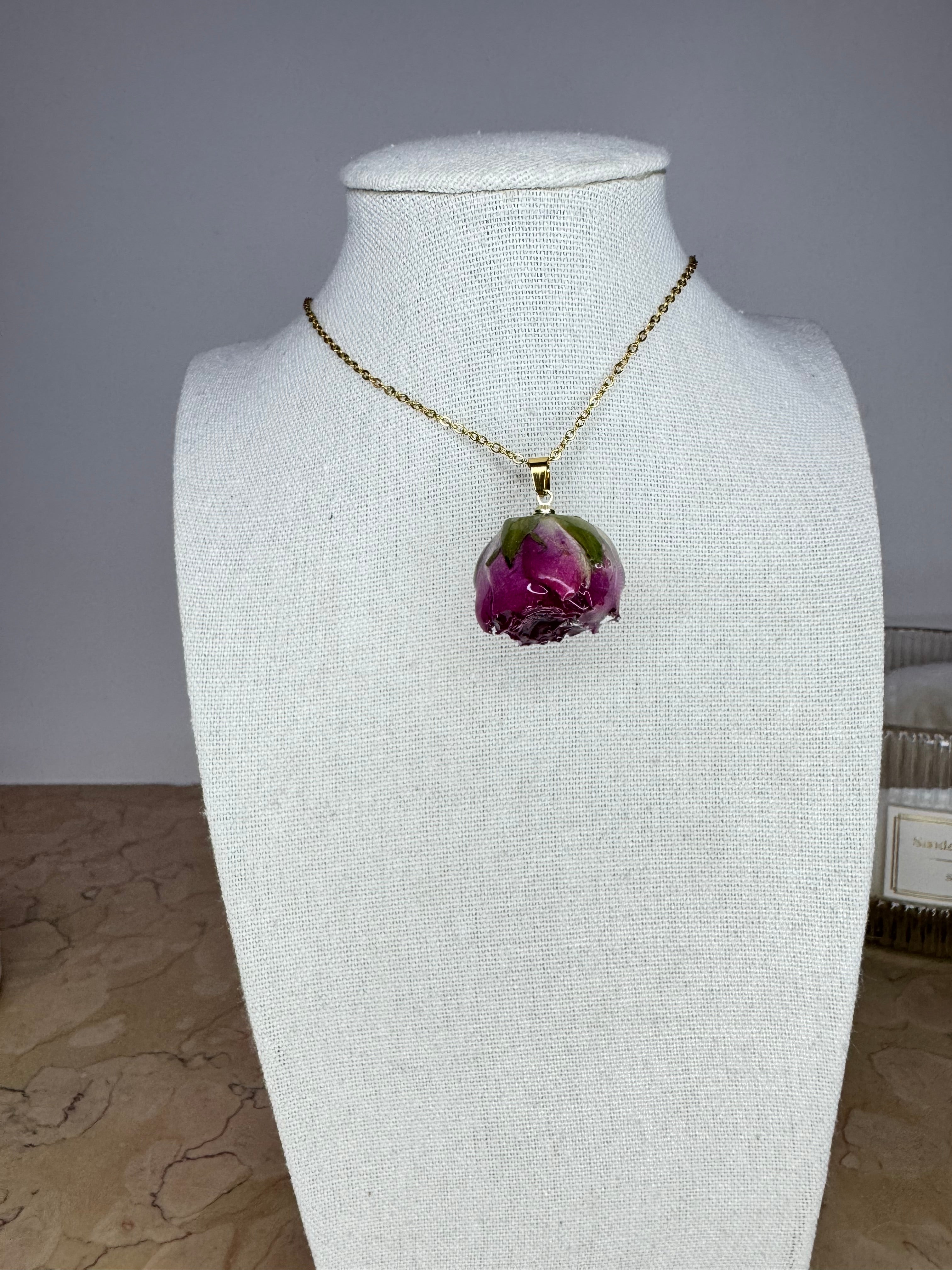 Rosa